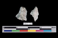 藏品(石棉)的圖片